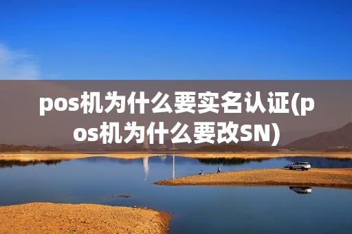 pos机为什么要实名认证(pos机为什么要改SN)