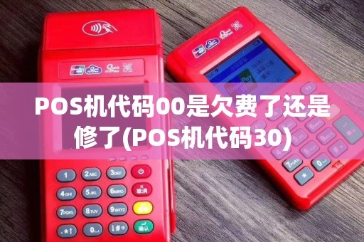 POS机代码00是欠费了还是修了(POS机代码30)