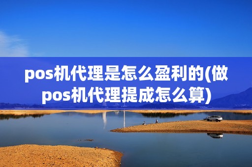pos机代理是怎么盈利的(做pos机代理提成怎么算)