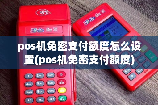 pos机免密支付额度怎么设置(pos机免密支付额度)