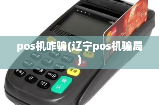 pos机咋骗(辽宁pos机骗局)