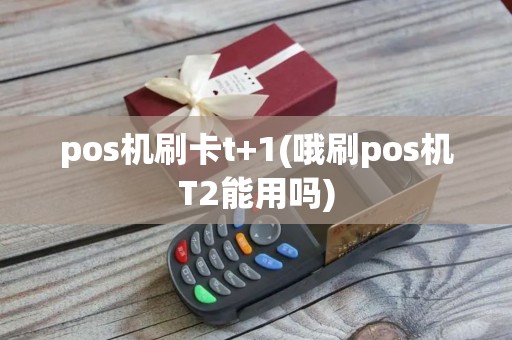 pos机刷卡t+1(哦刷pos机T2能用吗)