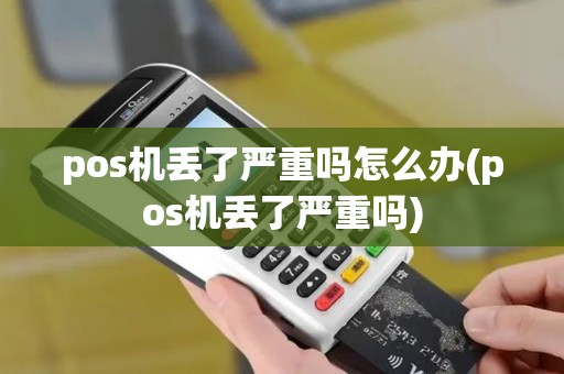 pos机丢了严重吗怎么办(pos机丢了严重吗)