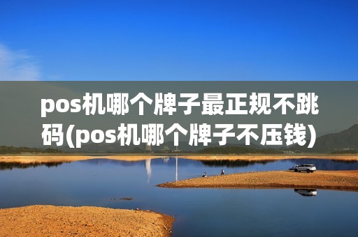 pos机哪个牌子最正规不跳码(pos机哪个牌子不压钱)