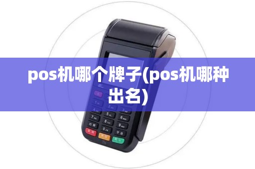 pos机哪个牌子(pos机哪种出名)