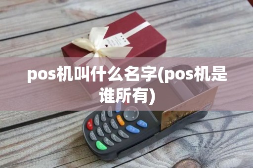 pos机叫什么名字(pos机是谁所有)