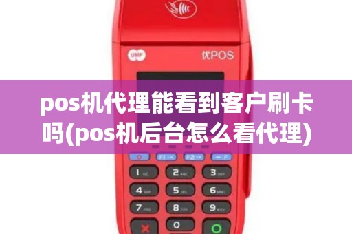 pos机代理能看到客户刷卡吗(pos机后台怎么看代理)