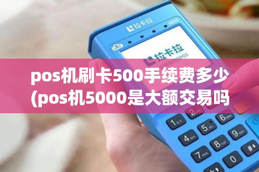 pos机刷卡500手续费多少(pos机5000是大额交易吗)