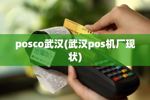 posco武汉(武汉pos机厂现状)