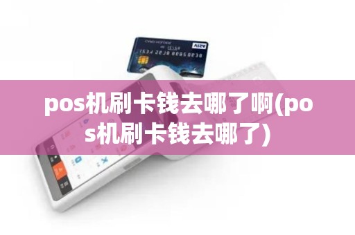 pos机刷卡钱去哪了啊(pos机刷卡钱去哪了)