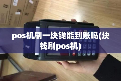 pos机刷一块钱能到账吗(块钱刷pos机)