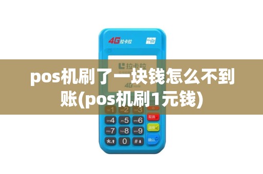 pos机刷了一块钱怎么不到账(pos机刷1元钱)