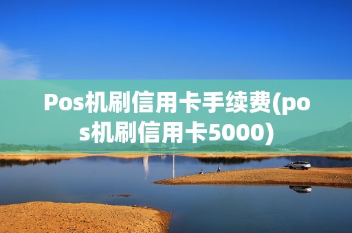 Pos机刷信用卡手续费(pos机刷信用卡5000)