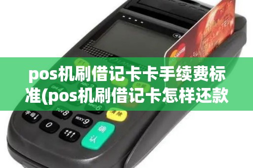 pos机刷借记卡卡手续费标准(pos机刷借记卡怎样还款)