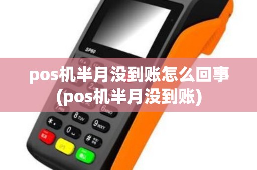 pos机半月没到账怎么回事(pos机半月没到账) pos机半月没到账怎么回事(pos机半月没到账)