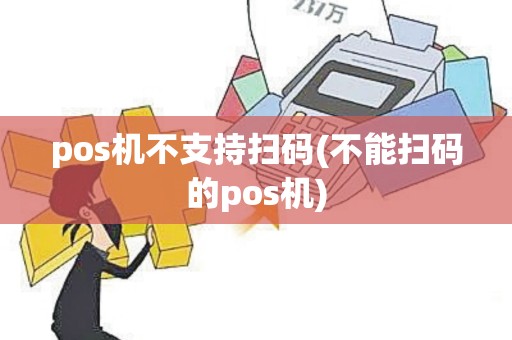 pos机不支持扫码(不能扫码的pos机)