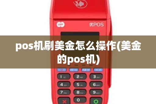 pos机刷美金怎么操作(美金的pos机)