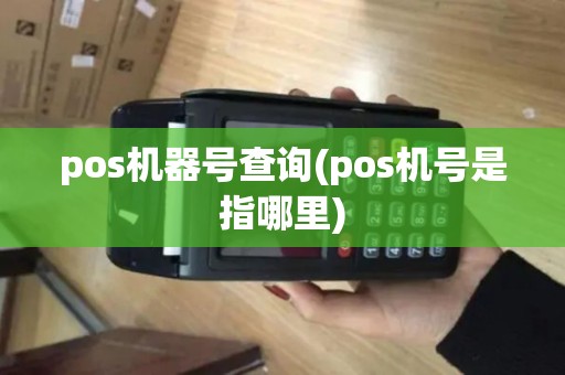 pos机器号查询(pos机号是指哪里)