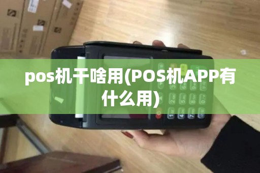 pos机干啥用(POS机APP有什么用)
