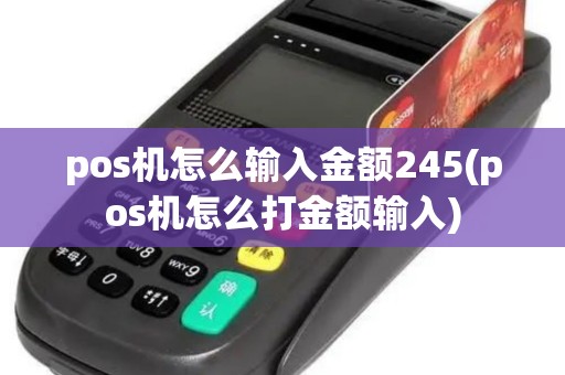 pos机怎么输入金额245(pos机怎么打金额输入)
