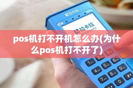 pos机打不开机怎么办(为什么pos机打不开了)
