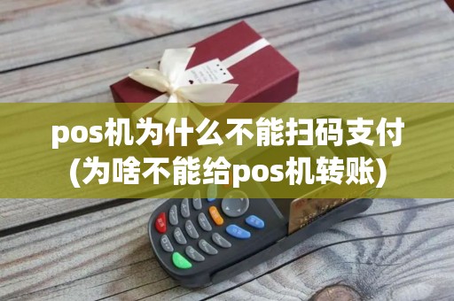 pos机为什么不能扫码支付(为啥不能给pos机转账)