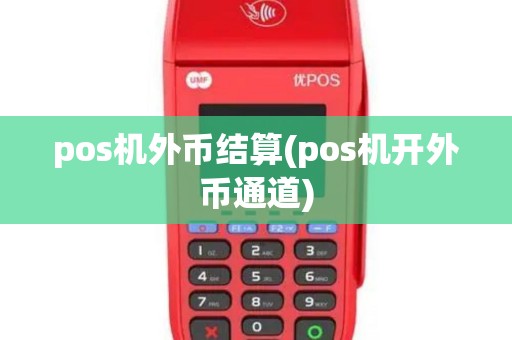 pos机外币结算(pos机开外币通道)