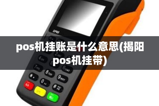 pos机挂账是什么意思(揭阳pos机挂带)