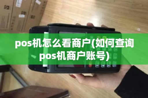 pos机怎么看商户(如何查询pos机商户账号)