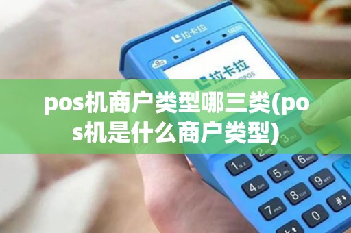 pos机商户类型哪三类(pos机是什么商户类型)