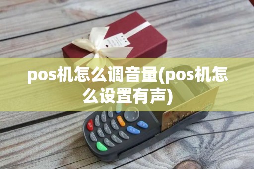 pos机怎么调音量(pos机怎么设置有声)