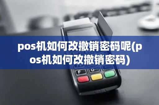 pos机如何改撤销密码呢(pos机如何改撤销密码)