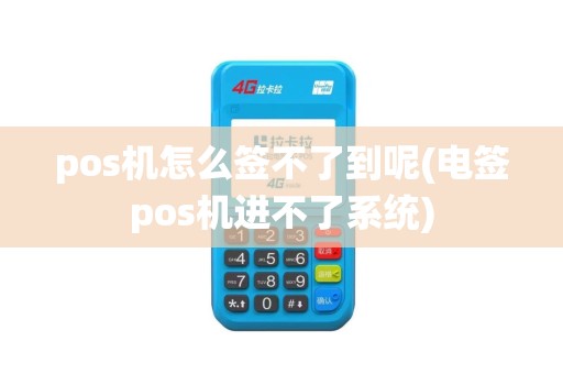 pos机怎么签不了到呢(电签pos机进不了系统)
