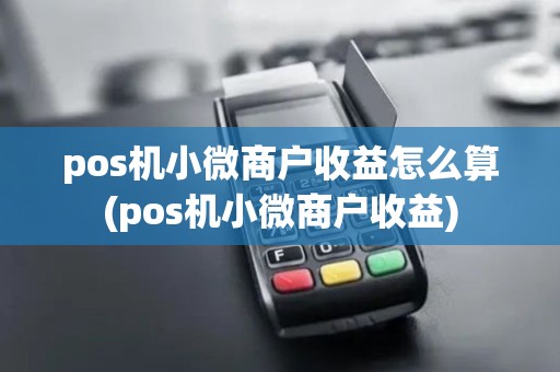 pos机小微商户收益怎么算(pos机小微商户收益)