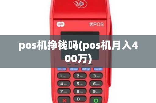 pos机挣钱吗(pos机月入400万)