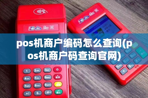 pos机商户编码怎么查询(pos机商户码查询官网)
