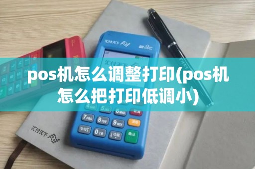 pos机怎么调整打印(pos机怎么把打印低调小)