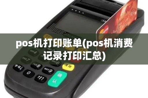 pos机打印账单(pos机消费记录打印汇总)