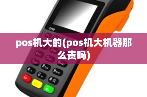 pos机大的(pos机大机器那么贵吗)