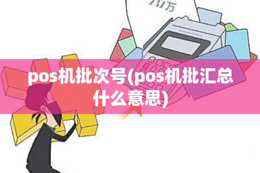 pos机批次号(pos机批汇总什么意思)