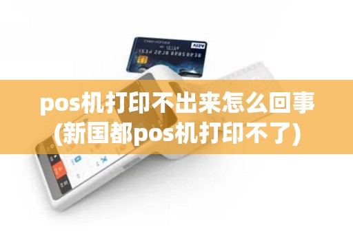 pos机打印不出来怎么回事(新国都pos机打印不了)
