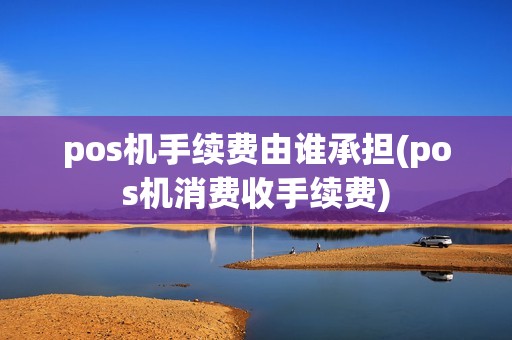 pos机手续费由谁承担(pos机消费收手续费)