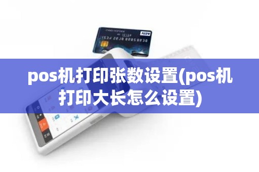 pos机打印张数设置(pos机打印大长怎么设置)
