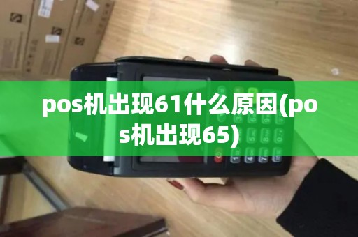pos机出现61什么原因(pos机出现65)