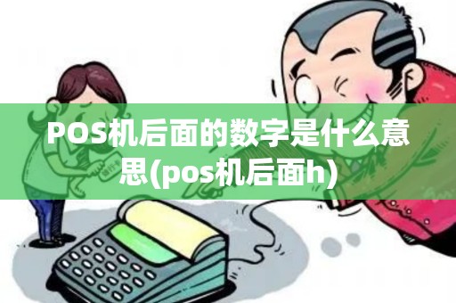 POS机后面的数字是什么意思(pos机后面h)
