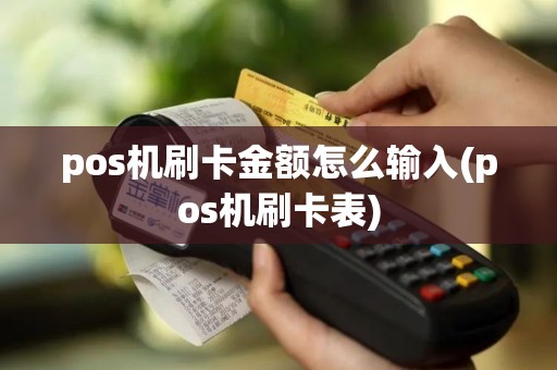 pos机刷卡金额怎么输入(pos机刷卡表)