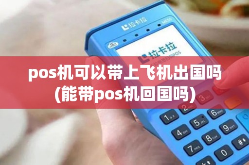 pos机可以带上飞机出国吗(能带pos机回国吗)