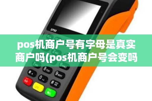 pos机商户号有字母是真实商户吗(pos机商户号会变吗)
