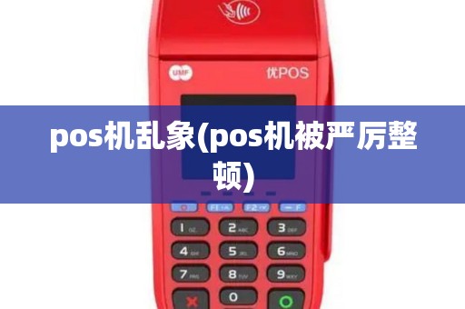 pos机乱象(pos机被严厉整顿)