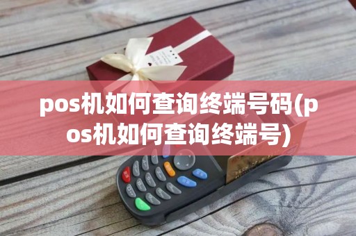 pos机如何查询终端号码(pos机如何查询终端号)